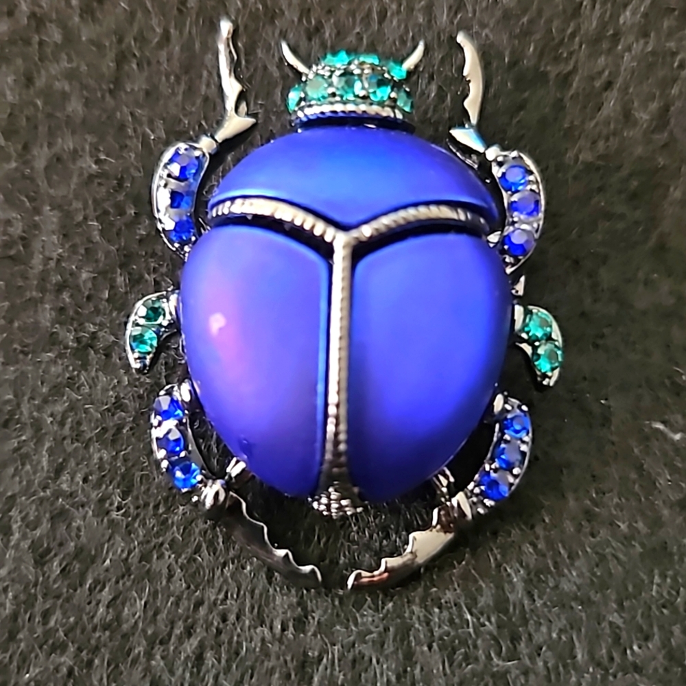 NWT Beetle Brooch